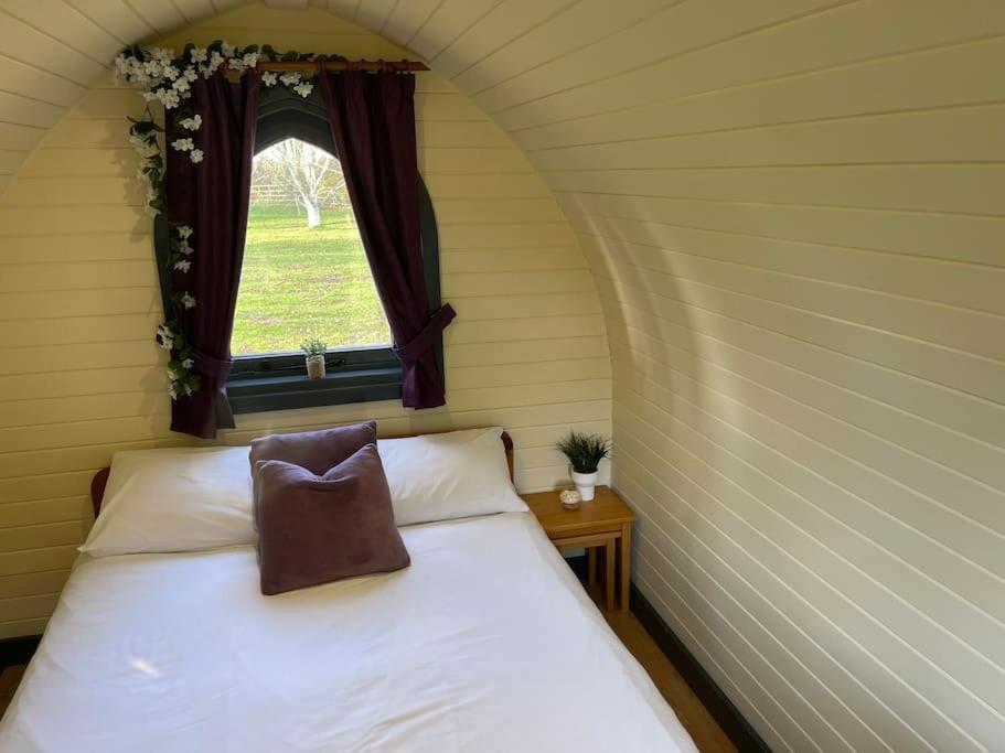 Belle Vista Glamping & Camping York Ngoại thất bức ảnh
