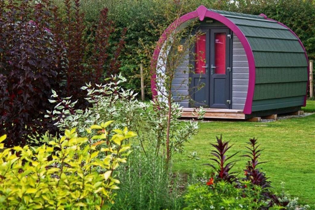 Belle Vista Glamping & Camping York Ngoại thất bức ảnh