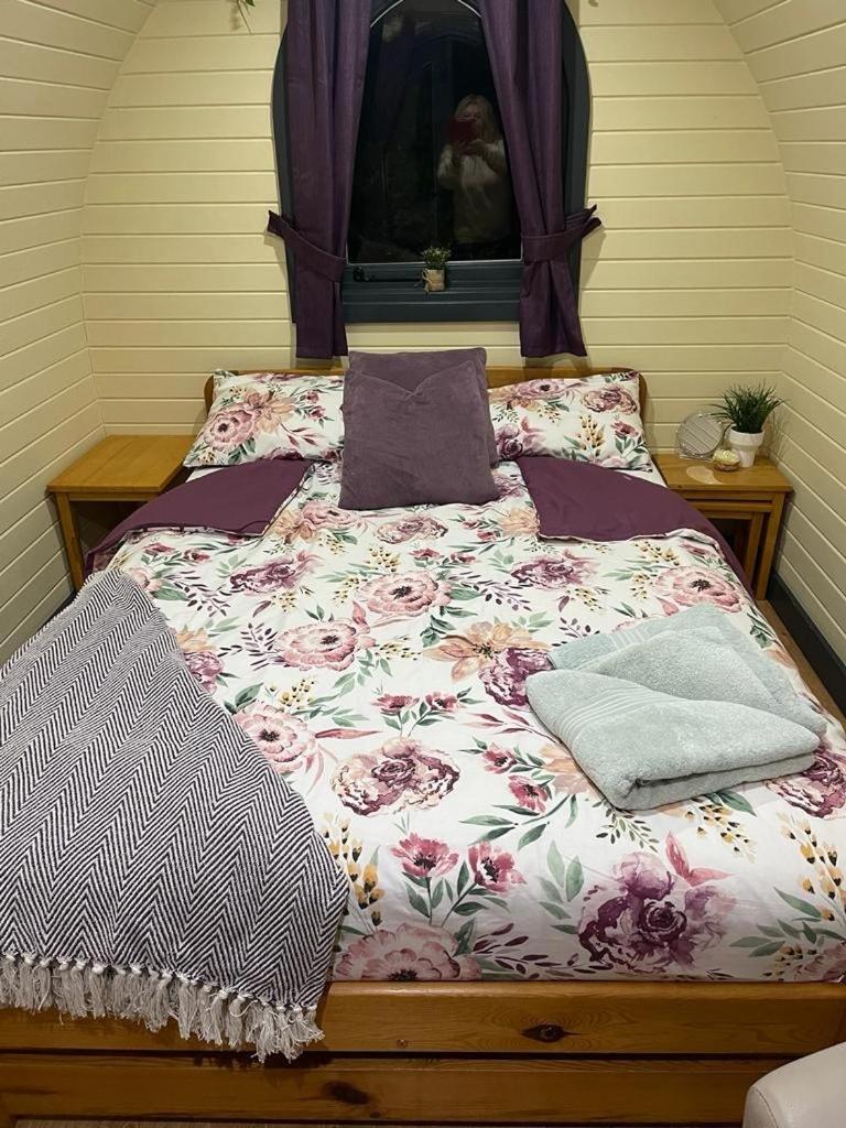 Belle Vista Glamping & Camping York Ngoại thất bức ảnh