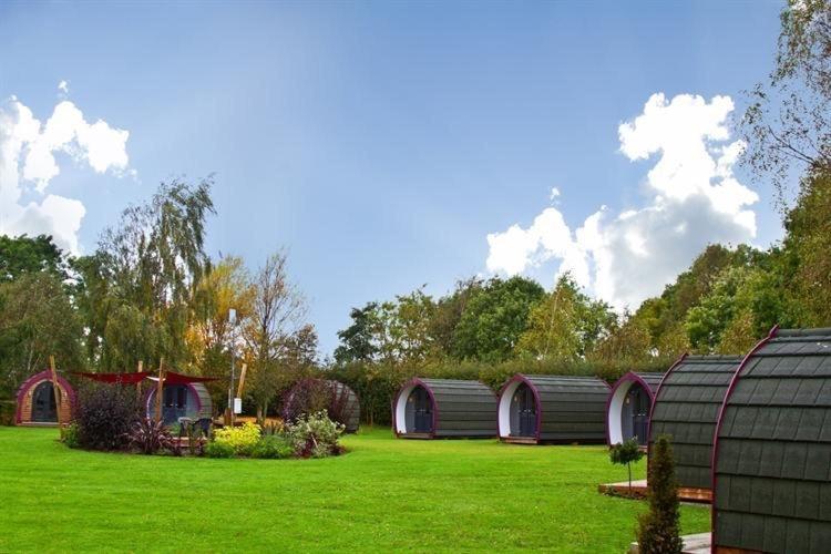 Belle Vista Glamping & Camping York Ngoại thất bức ảnh